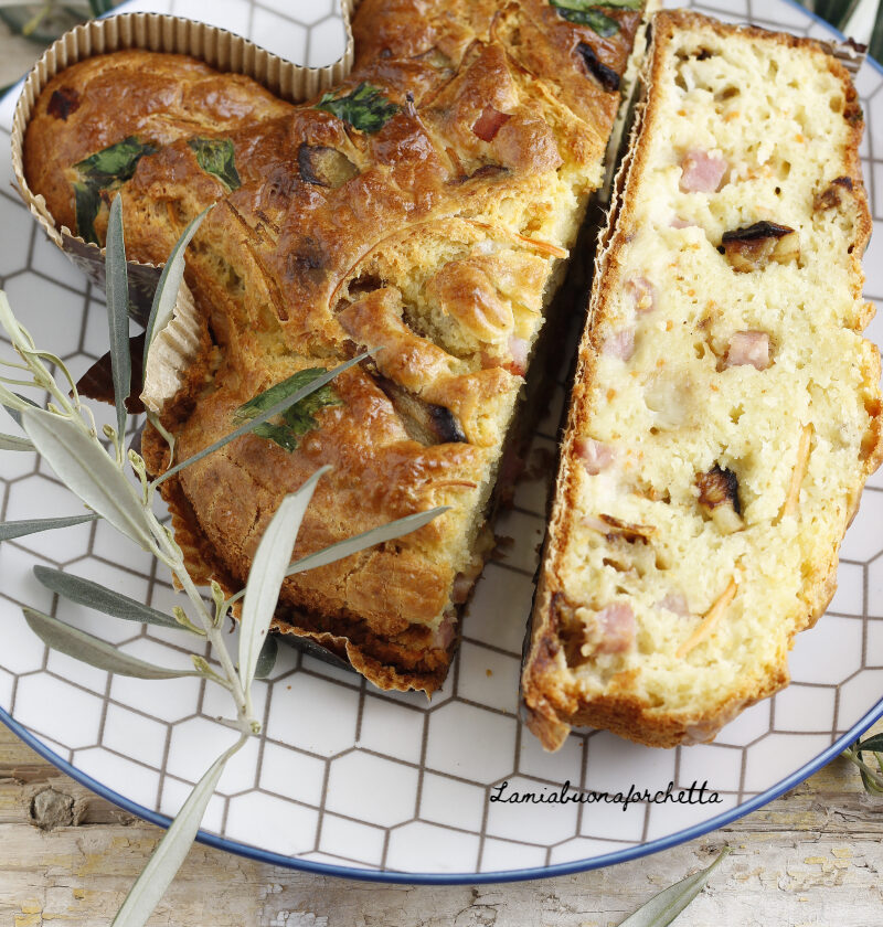 colomba salata